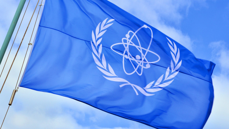 IAEA Director General Statement on Situation in Ukraine